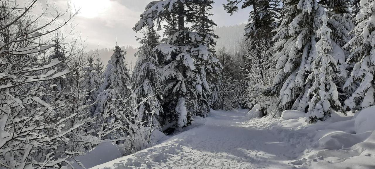 Le Domaine De Pairis Hotel Orbey Esterno foto